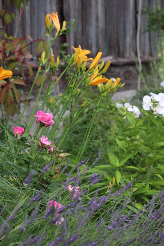 dom wolnostojący, 2 pokoje Włodowice, N. Zdjęcie 65