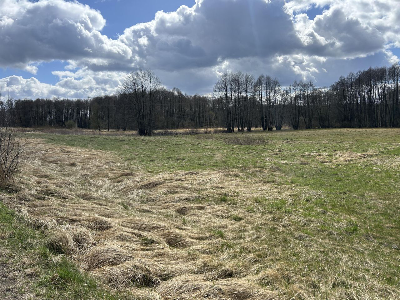 Działka budowlana Złotoria, ul. Lipowa. Zdjęcie 2