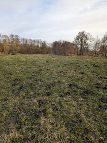 Działka rolna Łąkie, Łąkie. Zdjęcie 10