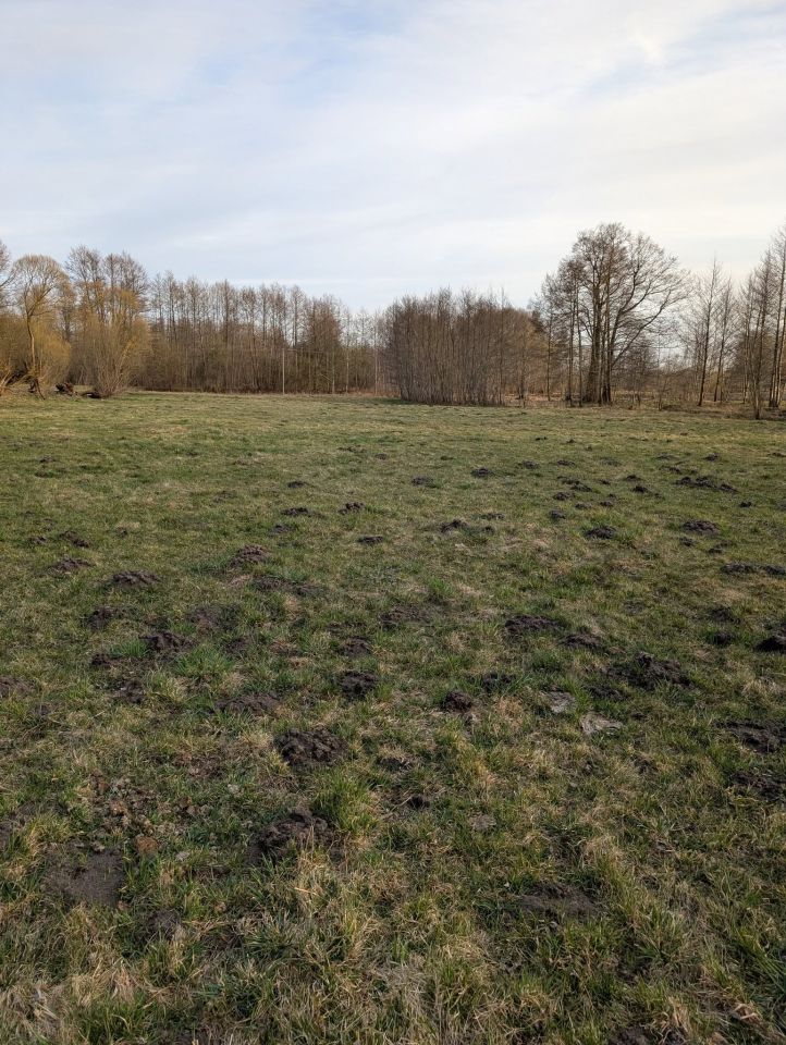 Działka rolna Łąkie, Łąkie. Zdjęcie 10