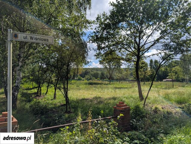 Działka budowlana Morzęcin Mały, ul. Wiśniowa. Zdjęcie 1