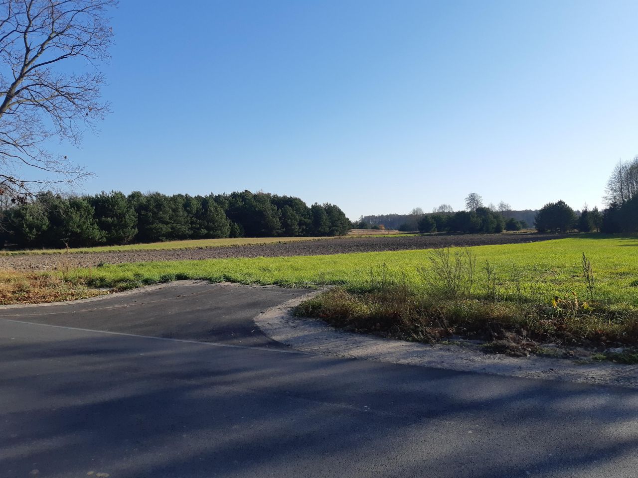 Działka budowlana Prostyń. Zdjęcie 6