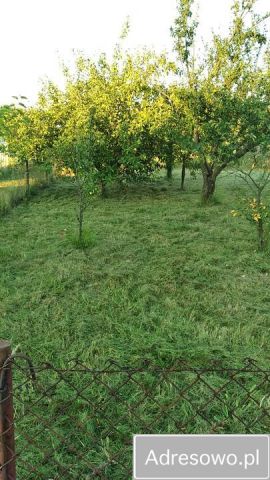 Działka rod Sędziszów. Zdjęcie 1