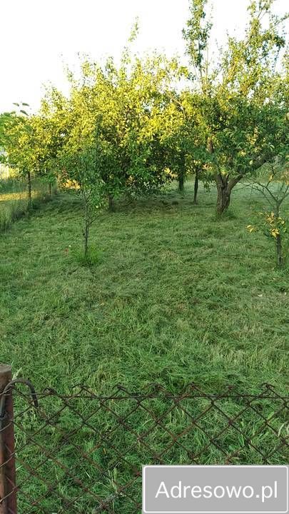 Działka rod Sędziszów