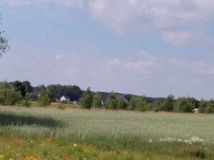 Działka budowlana Przyjaźń, ul. Łąkowa. Zdjęcie 4