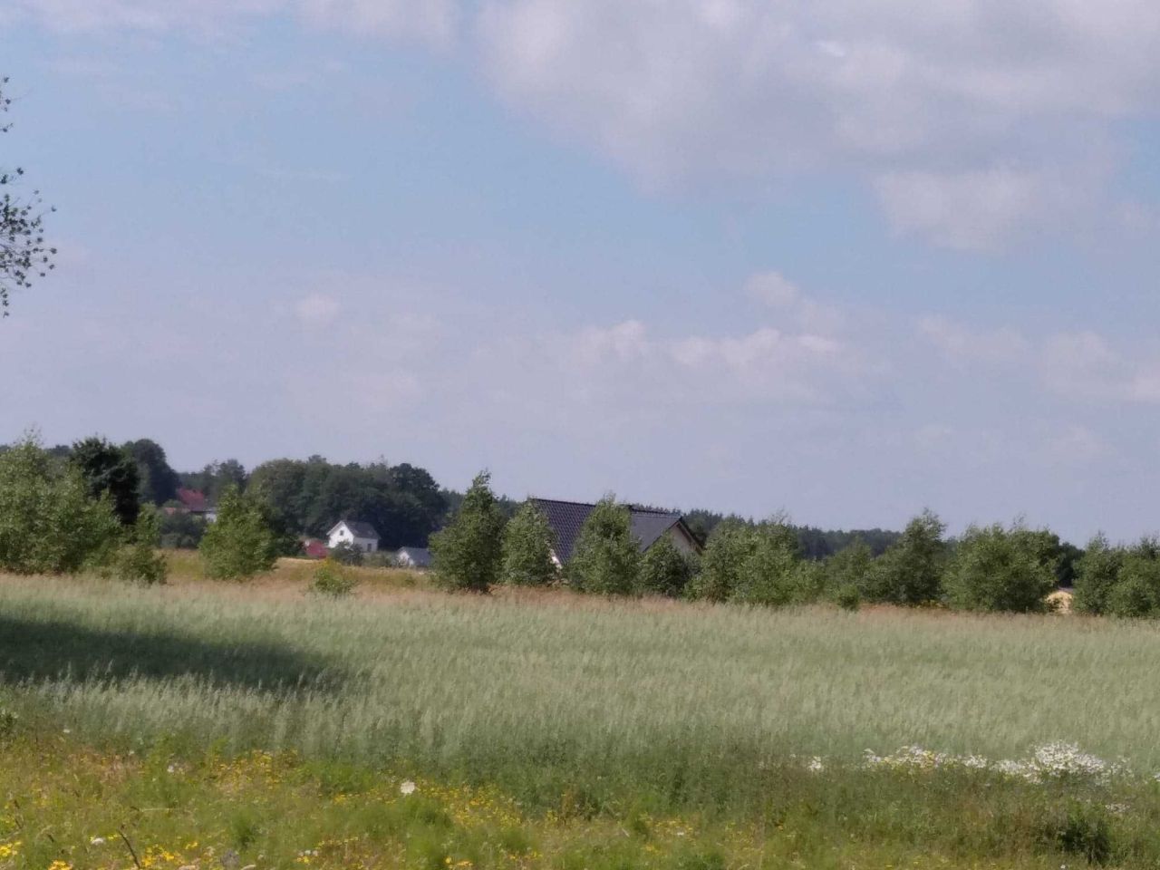 Działka budowlana Przyjaźń, ul. Łąkowa. Zdjęcie 5