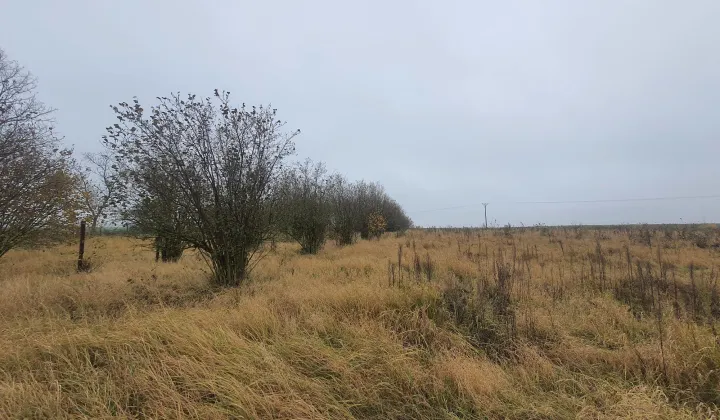 Działka rolno-budowlana Witkowo Drugie, ul. Czereśniowa