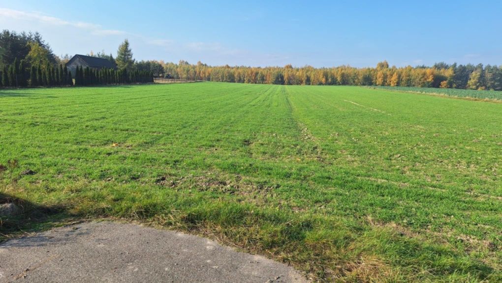 Działka budowlana Winnica. Zdjęcie 2