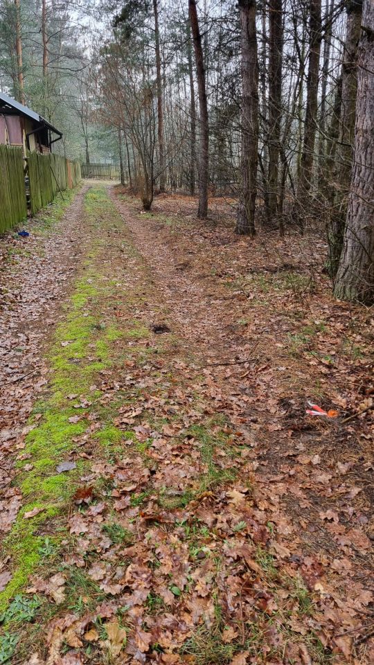 Działka rekreacyjna Nowe Łachy. Zdjęcie 14