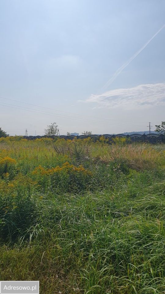 Działka inwestycyjna Raciborowice, ul. Kanonicza