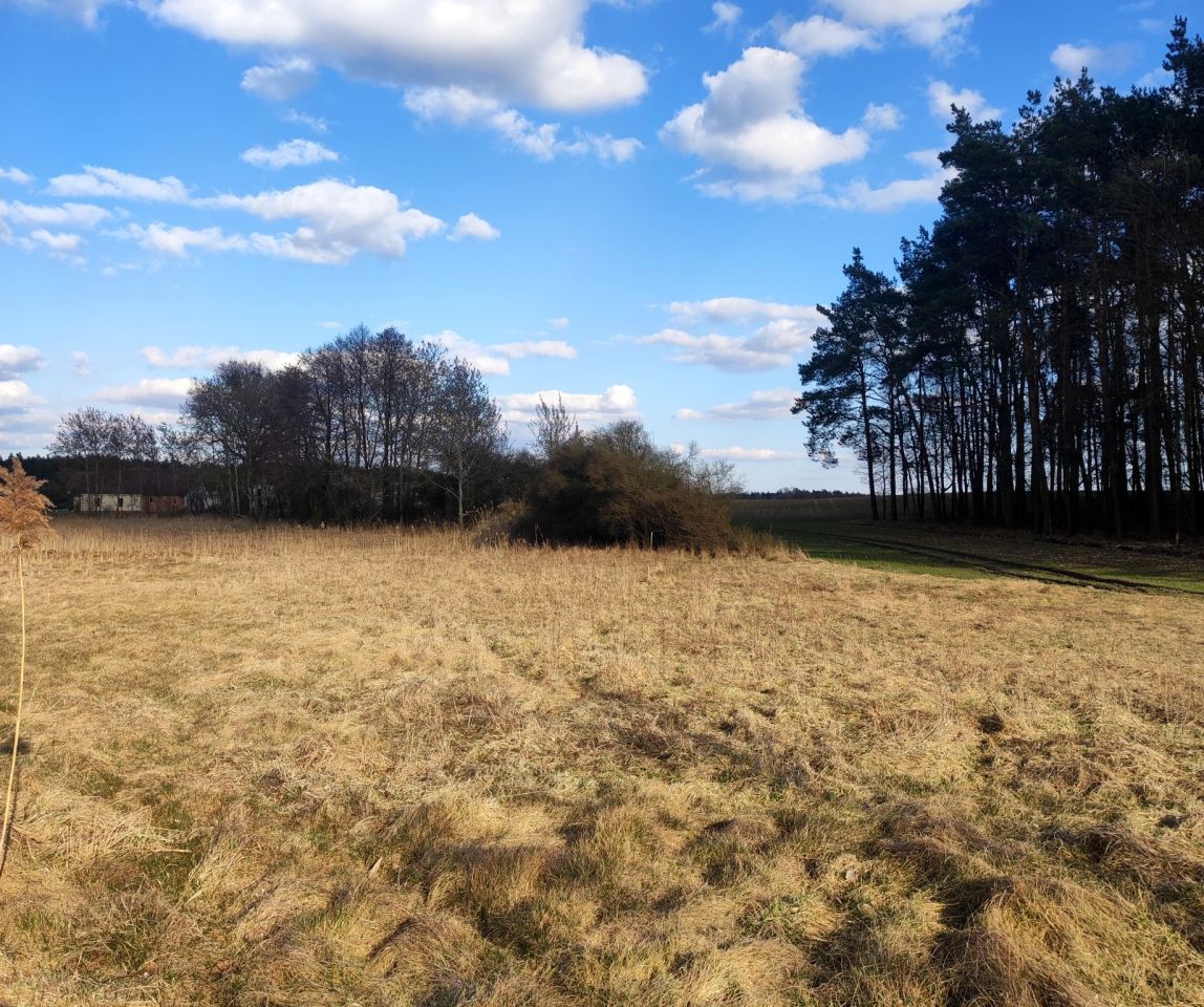 Działka budowlana Skoki, ul. Rakojedzka. Zdjęcie 5