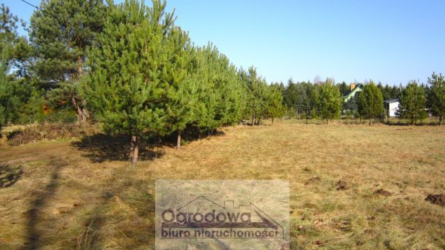 Działka budowlana Jadów. Zdjęcie 5