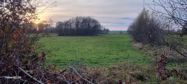 Działka rolna Lubieszewo. Zdjęcie 1