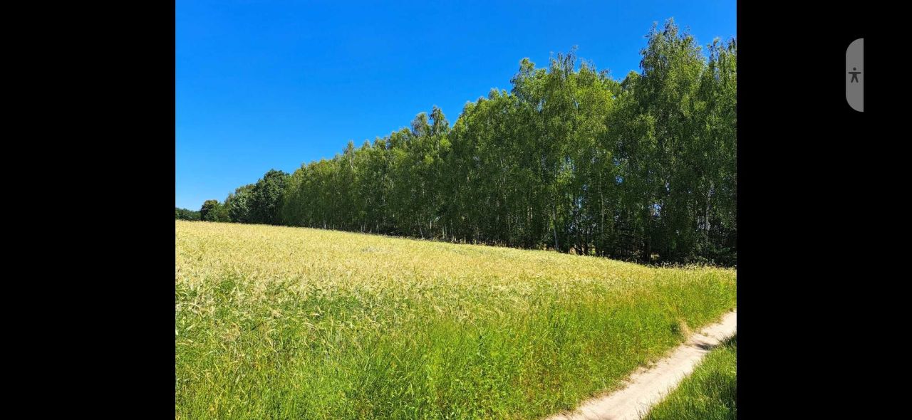 Działka rolna Wola Mieczysławska. Zdjęcie 3