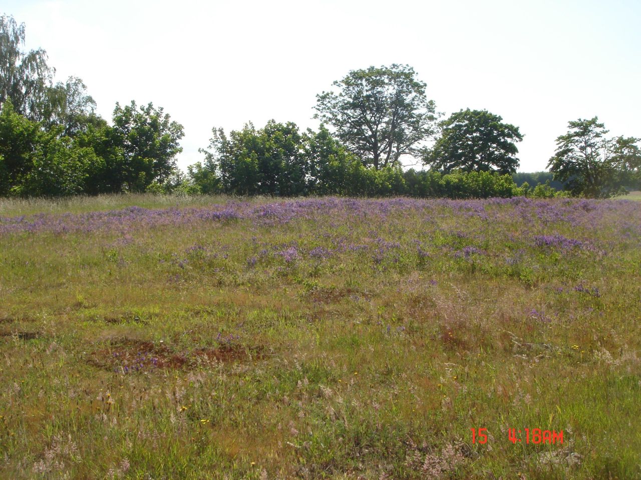 Działka budowlana Objazda. Zdjęcie 13