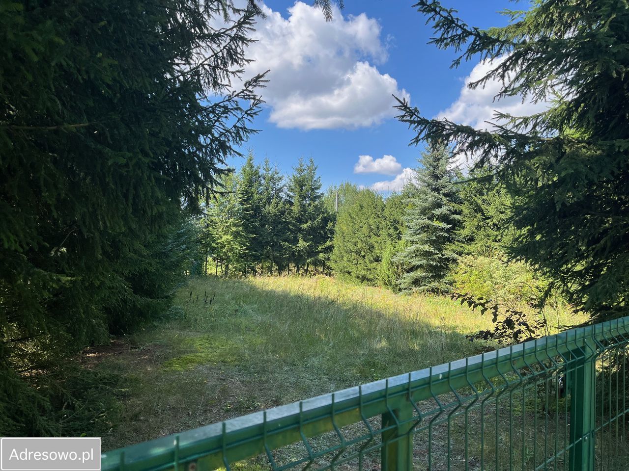 Działka rekreacyjna Rodowo Małe. Zdjęcie 3