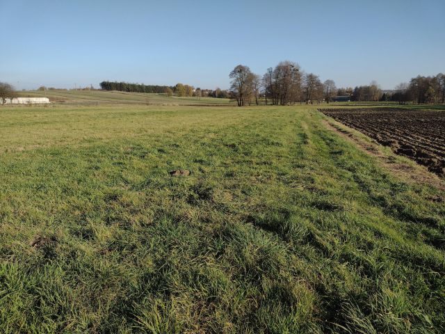 Działka inwestycyjna Czyżowice, ul. Nowa. Zdjęcie 2