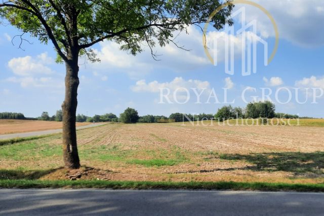 Działka rolna Rudno. Zdjęcie 7