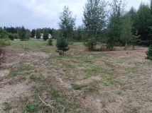 Działka budowlana Osolin, ul. Zielona. Zdjęcie 3