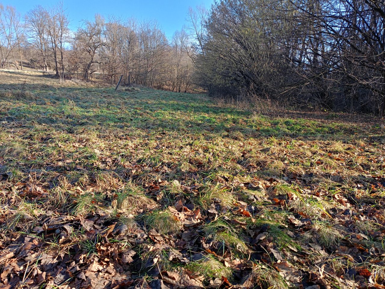 Działka rekreacyjna Zabratówka. Zdjęcie 7