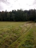 Działka rolna Dzikowiec. Zdjęcie 1