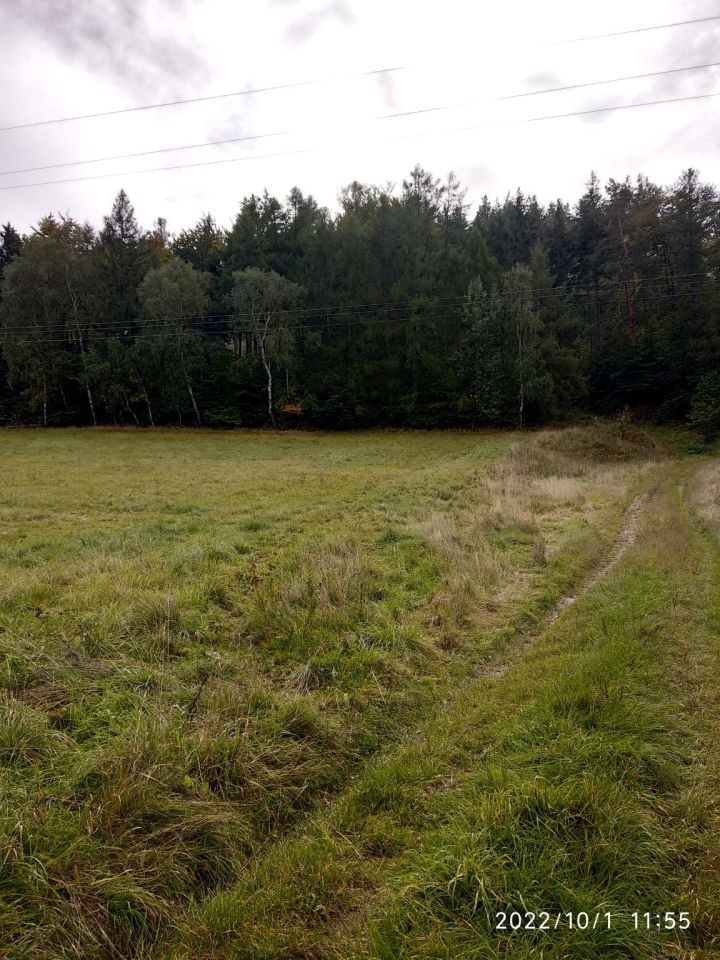 Działka rolna Dzikowiec. Zdjęcie 2