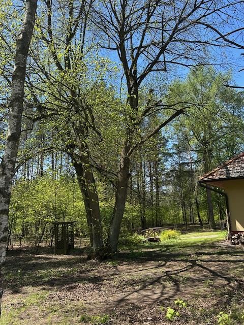 dom wolnostojący, 7 pokoi Ostrów Mazowiecka, ul. Różańska. Zdjęcie 8