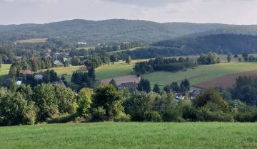 Działka rolno-budowlana Dydnia