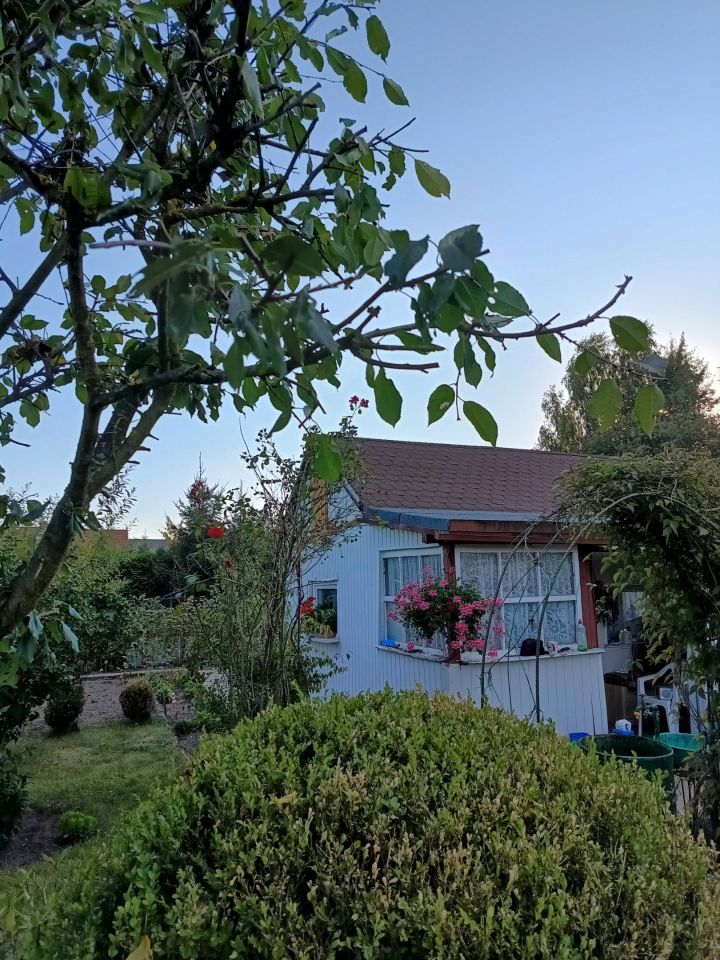 Działka rod Szczecin Krzekowo, ul. Waleriana Łukasińskiego. Zdjęcie 2