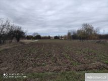 Działka rolna Sandomierz. Zdjęcie 4