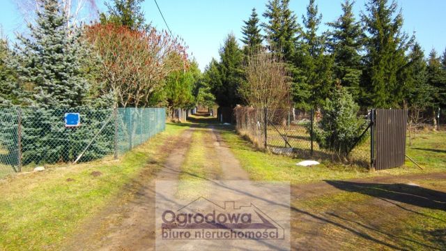 Działka Sekłak. Zdjęcie 16
