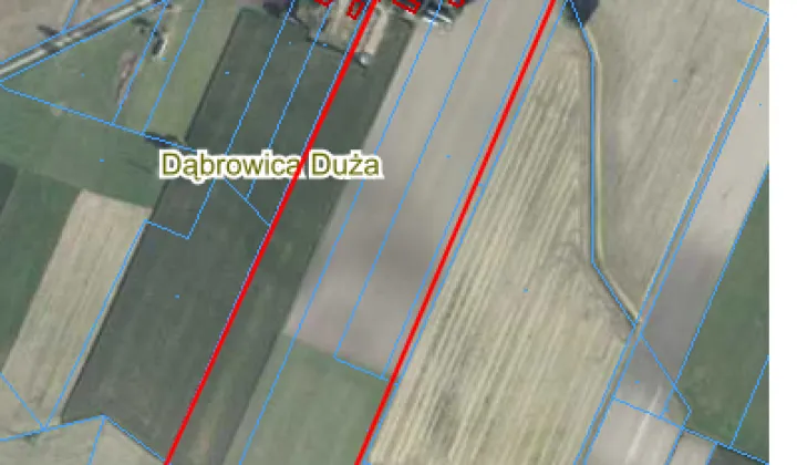 Działka rolno-budowlana Dąbrowica Duża