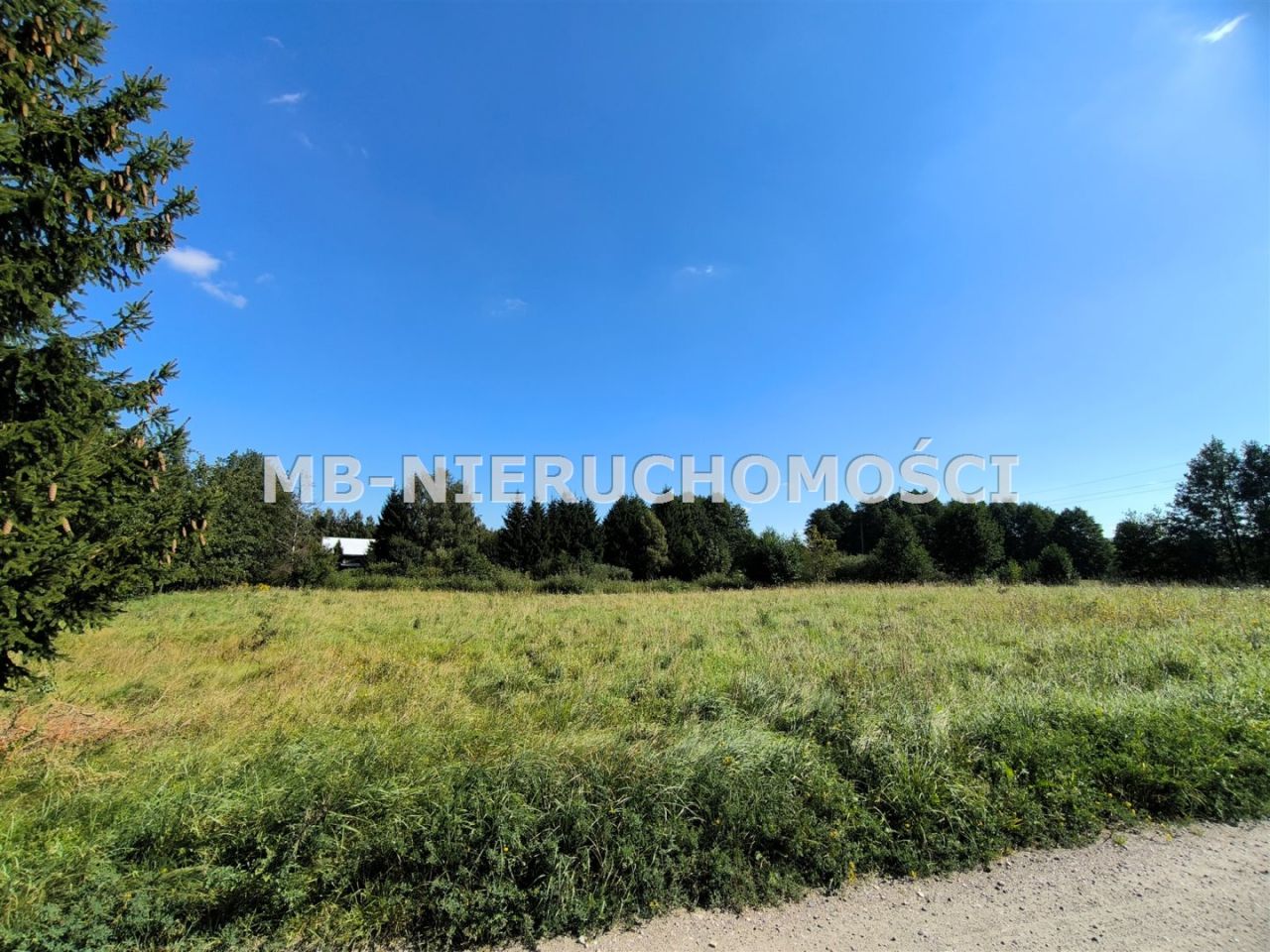 Działka rolna Wipsowo. Zdjęcie 2