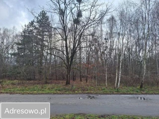 Działka budowlana Aleksandria, ul. Strażacka. Zdjęcie 1