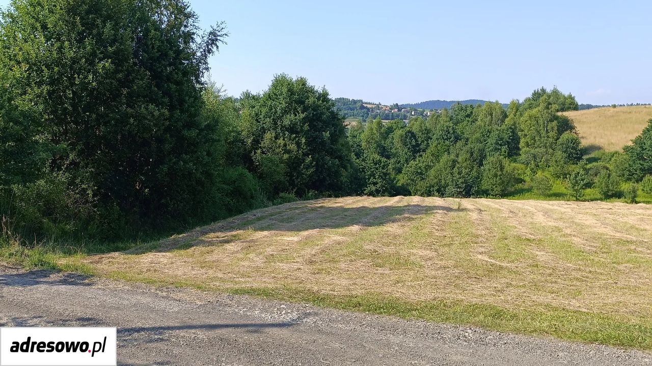 Działka budowlana Zakrzów. Zdjęcie 3