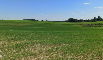 Działka rekreacyjna Orzechowo