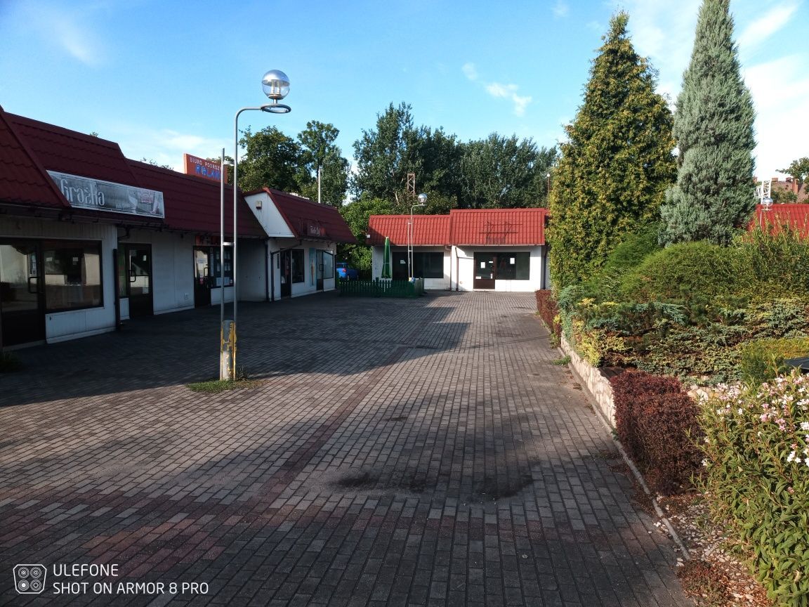 Lokal Zdzieszowice. Zdjęcie 2