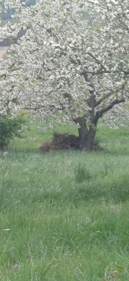 Działka budowlana Mikułowice. Zdjęcie 6