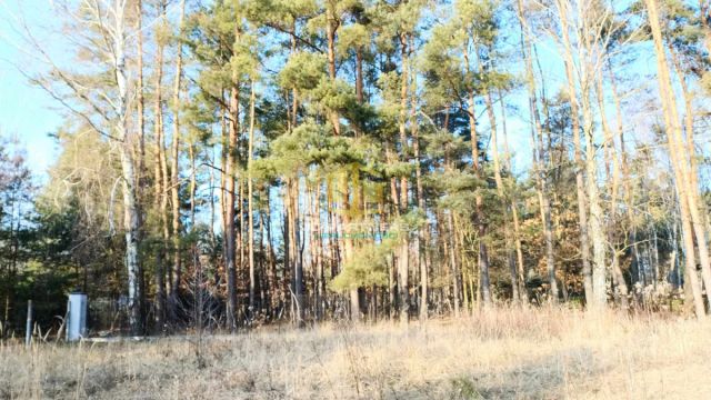 Działka budowlana Borowiec. Zdjęcie 12