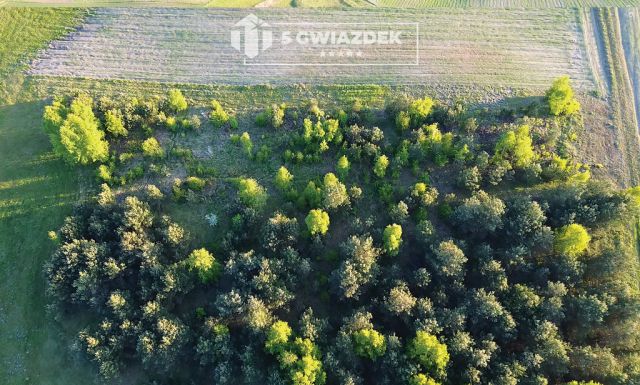 Działka budowlana Dziki. Zdjęcie 14