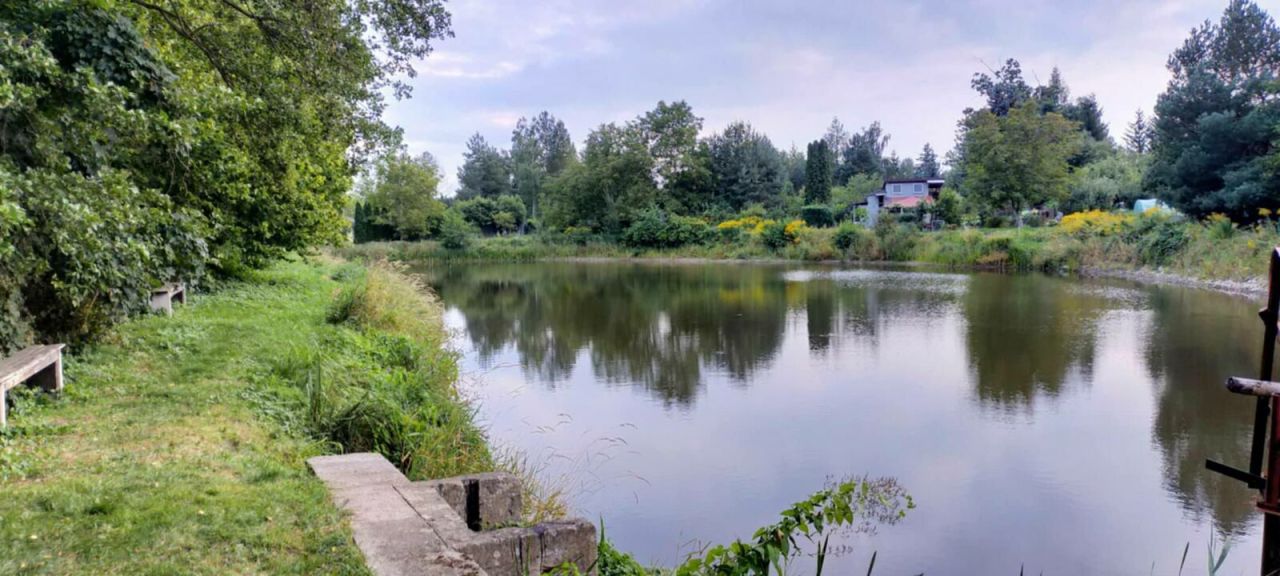 Działka rod Gostynin Bratoszewo. Zdjęcie 14