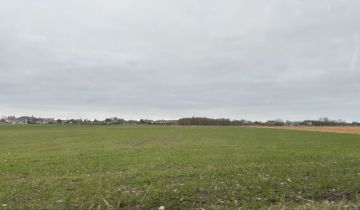 Działka inwestycyjna Darłowo Centrum