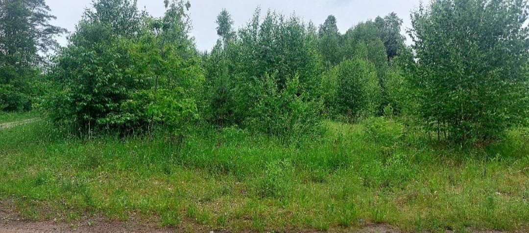 Działka budowlana Stary Adamów, Aleja Bzów. Zdjęcie 7