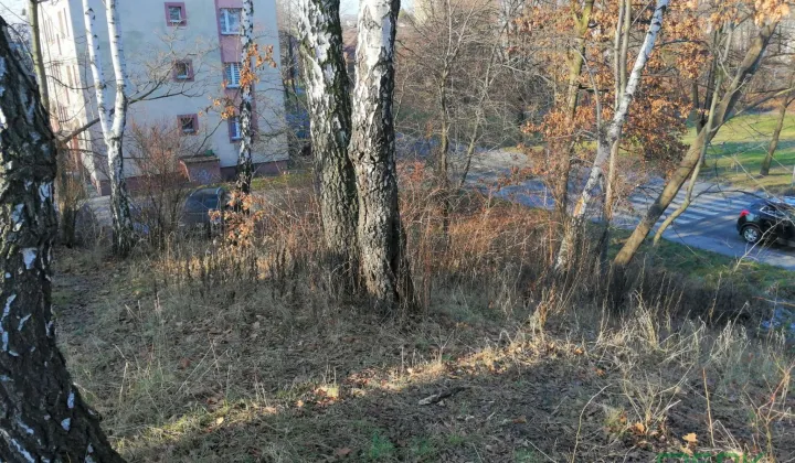 Działka inna Rydułtowy, ul. Leona
