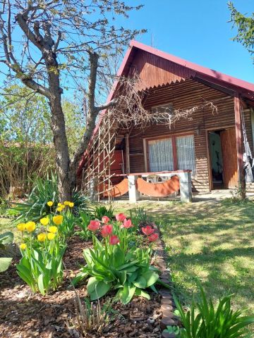 Działka rod Częstochowa Grabówka, ul. Ikara. Zdjęcie 1