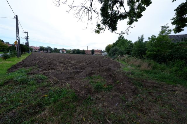 Działka budowlana Wszemiłowice Jurczyce. Zdjęcie 9