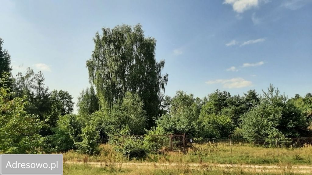 Działka budowlana Ludowinka, ul. Akacjowa. Zdjęcie 8