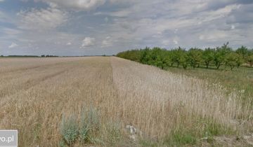 Działka rolna Gałki