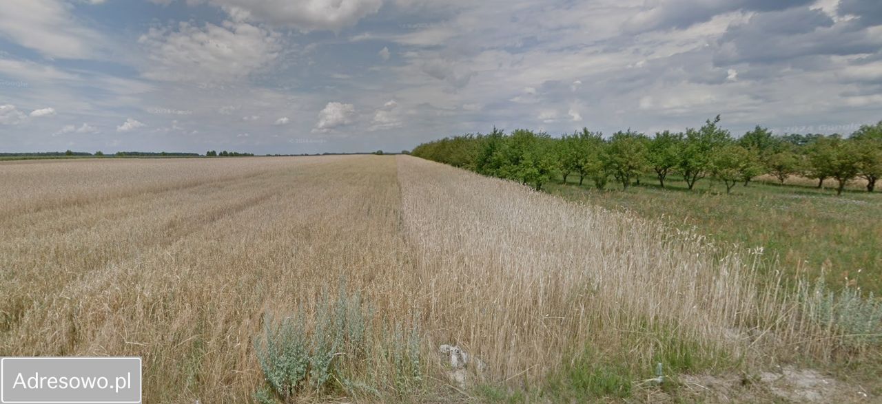 Działka rolna Gałki