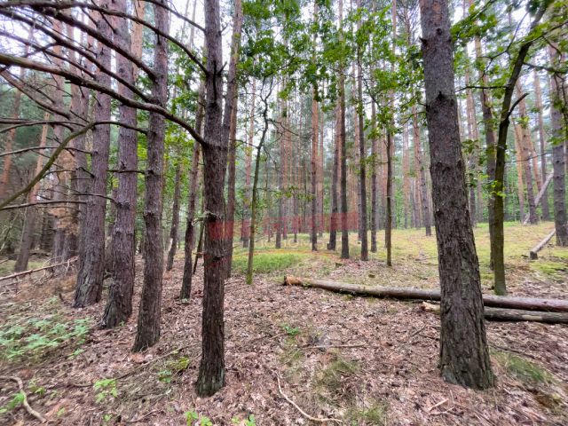 Działka rolna Krasiejów. Zdjęcie 2